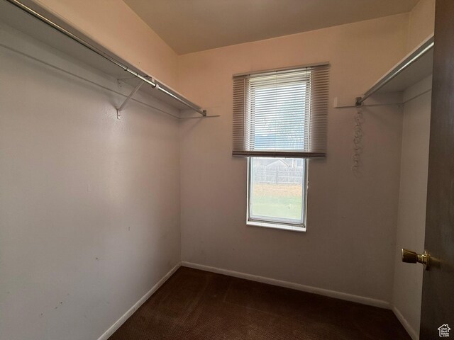 159 W 8800 S, Spanish Fork, UT 84660 - walk in closet featuring carpet
