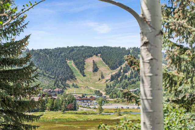 1955 Deer Valley Dr N Unit 302, Park City, UT 84060 - view of mountain backdrop featuring a heavily wooded area