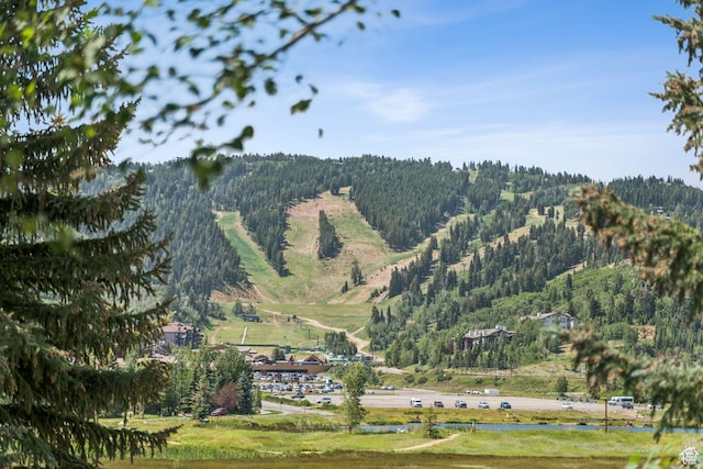 1955 Deer Valley Dr N Unit 302, Park City, UT 84060 - mountain view with a heavily wooded area