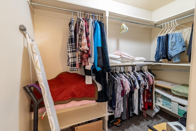 4091 W Juniper Hills Dr, South Jordan, UT 84095 - spacious closet featuring carpet floors