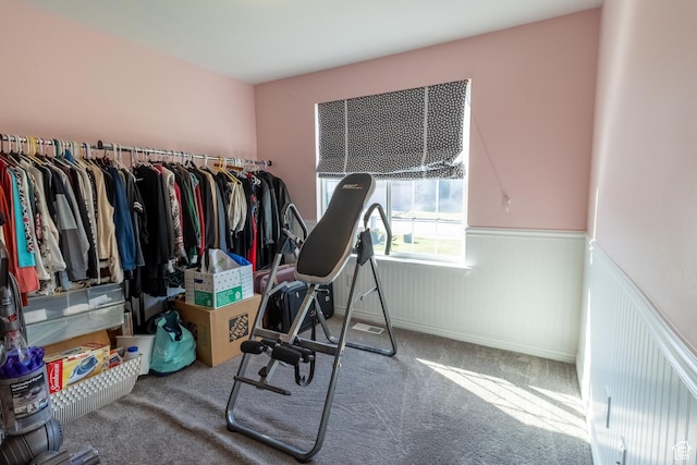 4091 W Juniper Hills Dr, South Jordan, UT 84095 - exercise room with wainscoting and carpet floors