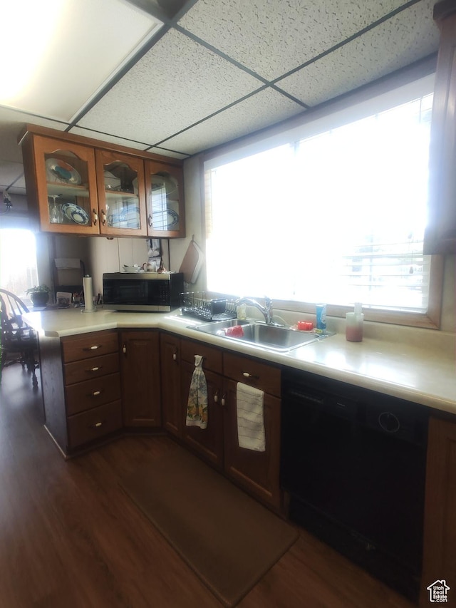 217 Wilkins, East Carbon, UT 84520 - kitchen with dishwasher, stainless steel microwave, a drop ceiling, dark wood-style flooring, and light countertops