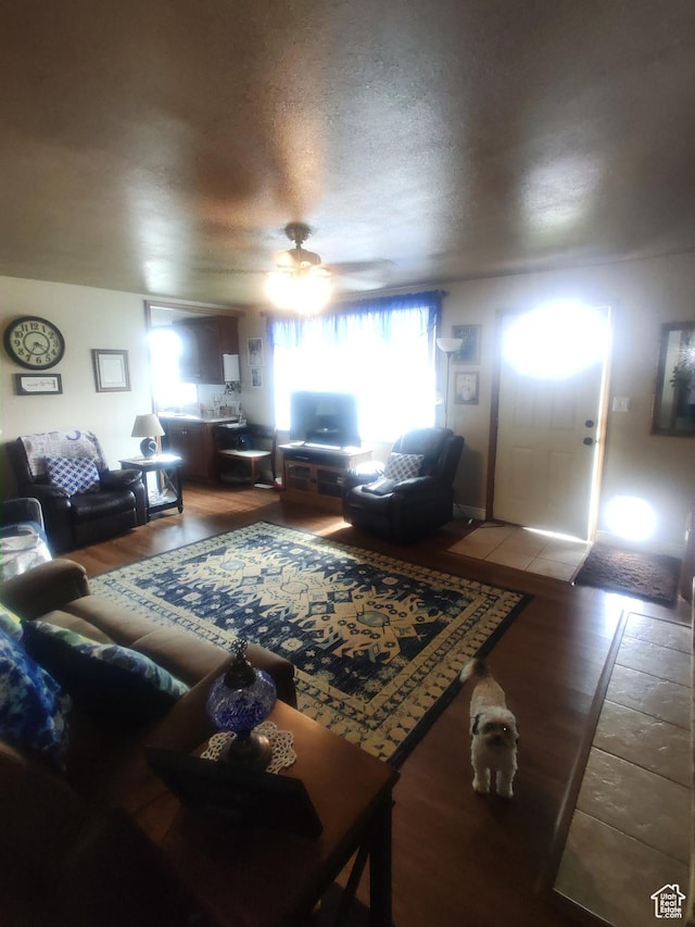 217 Wilkins, East Carbon, UT 84520 - living area with a ceiling fan and wood finished floors