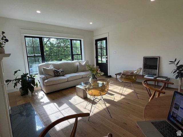 2487 S Beverly St E, Salt Lake City, UT 84106 - living room featuring wood finished floors and recessed lighting