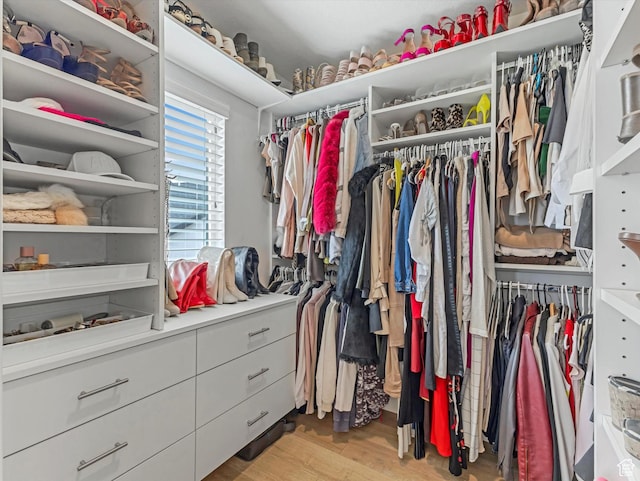 14735 S Asher Ln W, Bluffdale, UT 84065 - walk in closet with light wood finished floors