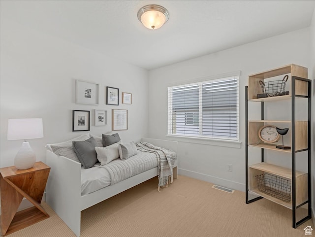 14735 S Asher Ln W, Bluffdale, UT 84065 - bedroom with carpet floors and baseboards
