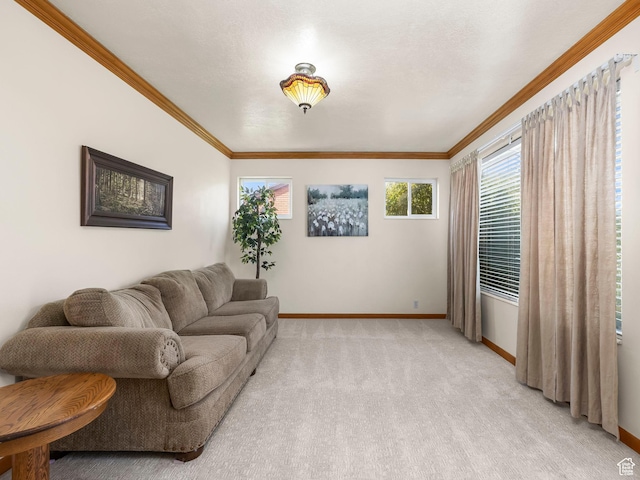 920 S 150 E, Orem, UT 84058 - living area featuring ornamental molding and light carpet