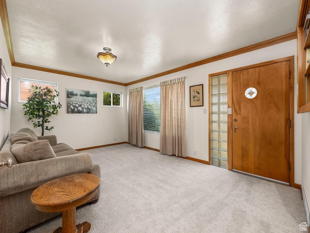 920 S 150 E, Orem, UT 84058 - living area with light carpet and crown molding