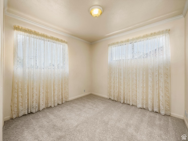 920 S 150 E, Orem, UT 84058 - unfurnished room featuring crown molding and carpet floors