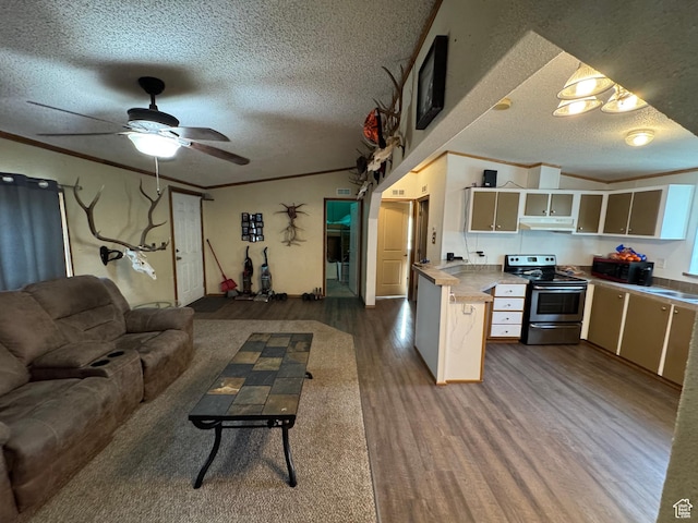 1082 W 650 S, Vernal, UT 84078 - kitchen featuring stainless steel electric range, under cabinet range hood, dark wood finished floors, a textured ceiling, and open floor plan