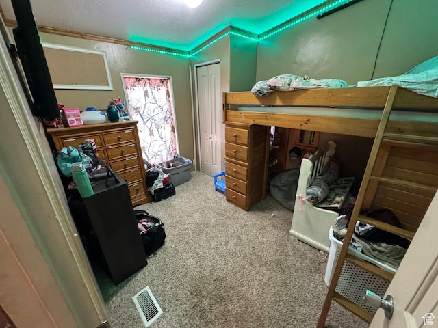 1082 W 650 S, Vernal, UT 84078 - bedroom with carpet floors, a closet, and a textured ceiling