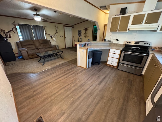 1082 W 650 S, Vernal, UT 84078 - kitchen featuring stainless steel range with electric stovetop, under cabinet range hood, ornamental molding, dark wood-style flooring, and ceiling fan