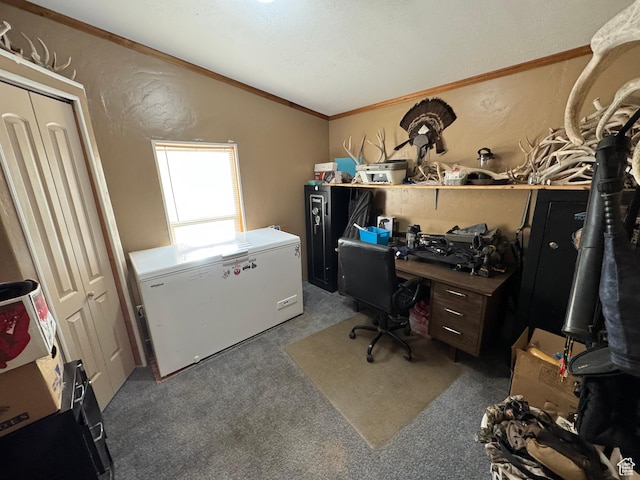 1082 W 650 S, Vernal, UT 84078 - home office with lofted ceiling, carpet, a textured wall, and ornamental molding