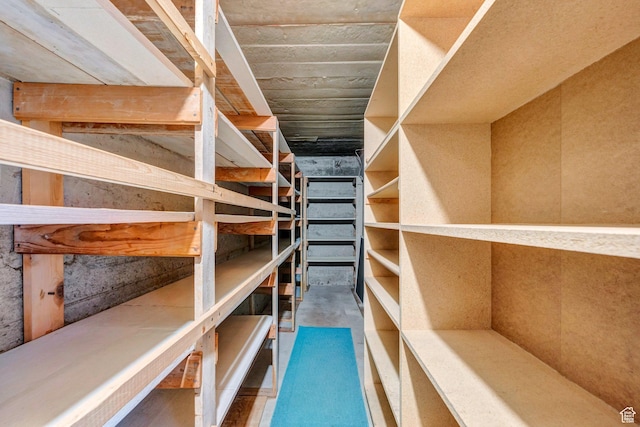 1083 W 10550 S, South Jordan, UT 84095 - view of storage room