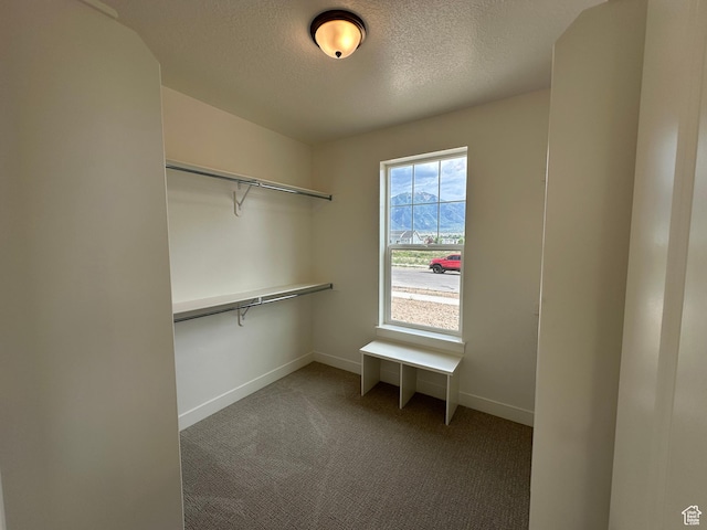 261 E 1150 N Unit 72, Salem, UT 84653 - photo 19