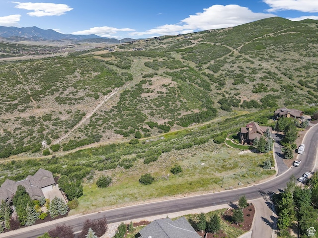 13055 N Slalom Run Dr, Kamas, UT 84036