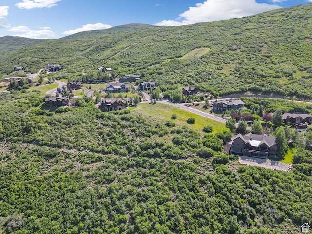 13055 N Slalom Run Dr, Kamas, UT 84036