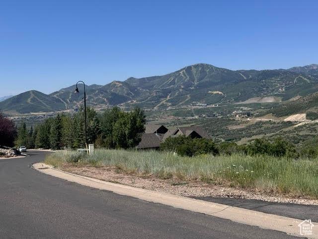 13055 N Slalom Run Dr, Kamas, UT 84036