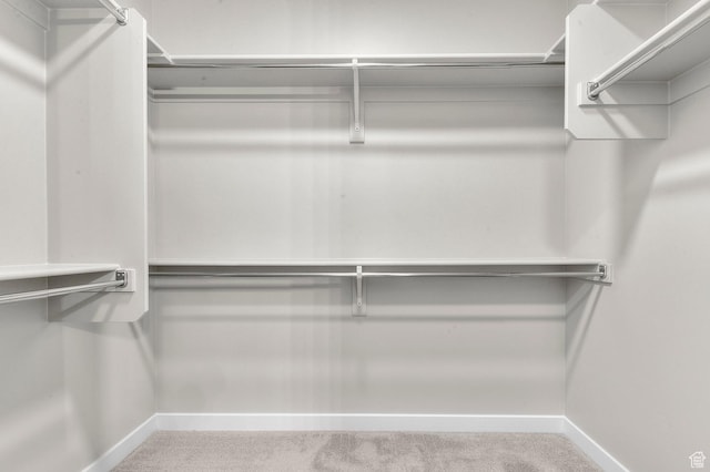3932 W 2800 N, Lehi, UT 84043 - walk in closet featuring carpet flooring
