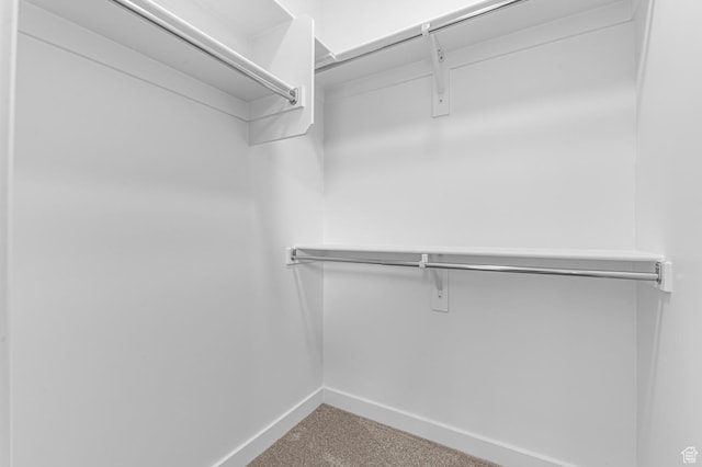 3908 W 2720 N, Lehi, UT 84043 - walk in closet with carpet floors