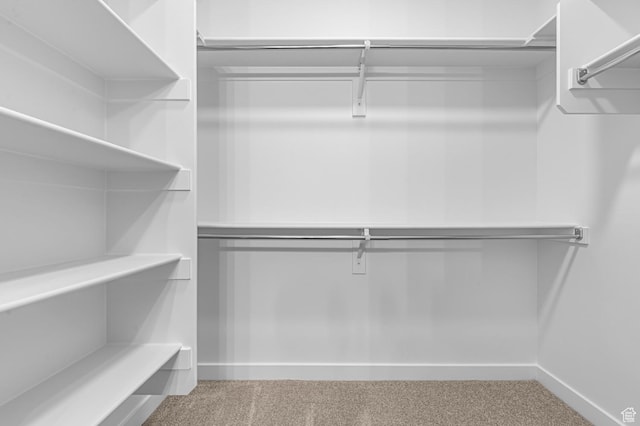 3908 W 2720 N, Lehi, UT 84043 - walk in closet featuring carpet floors