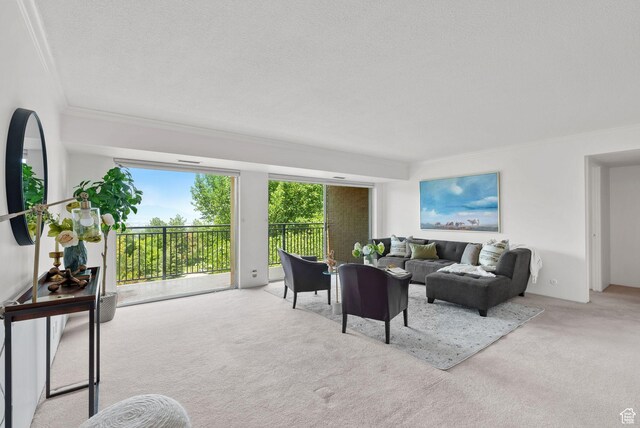 875 S Donner Way E Unit 302, Salt Lake City, UT 84108 - living area featuring carpet flooring, crown molding, and a textured ceiling