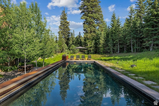 2505 W White Pine Ln, Park City, UT 84060 - view of pool