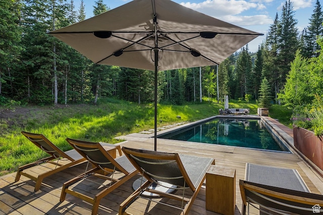 2505 W White Pine Ln, Park City, UT 84060 - swimming pool with a wooden deck and a wooded view