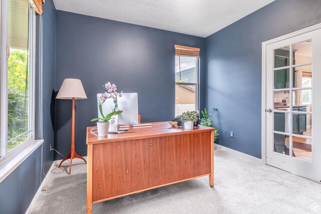 17 S Belmont Dr, Farmington, UT 84025 - office area with carpet flooring and plenty of natural light