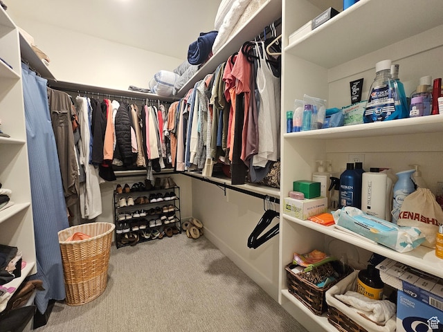 964 E 50 S, Santaquin, UT 84655 - spacious closet featuring carpet