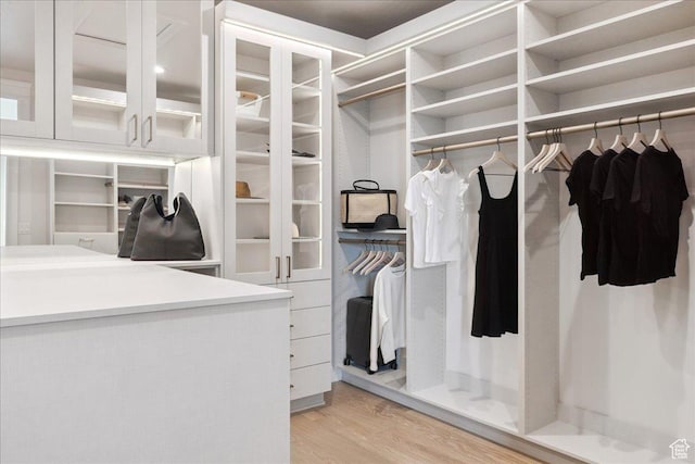 1649 W Pheasant Meadow Dr, Kaysville, UT 84037 - walk in closet with light wood-style flooring