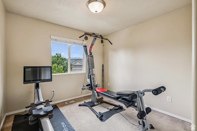 2188 N 2270 W, Lehi, UT 84043 - workout area with carpet flooring