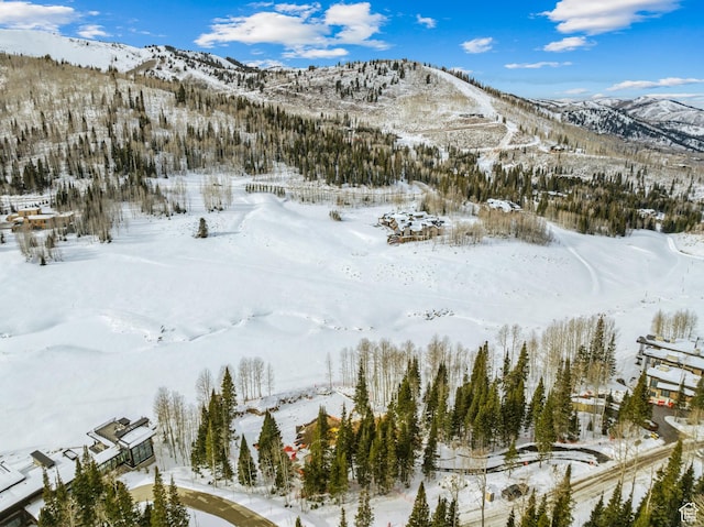 263 White Pine Canyon Rd, Park City, UT 84098 - photo 42