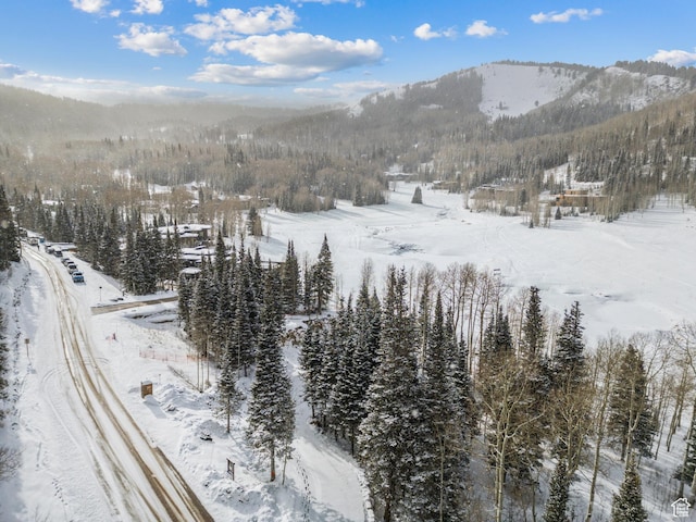 263 White Pine Canyon Rd, Park City, UT 84098 - photo 45