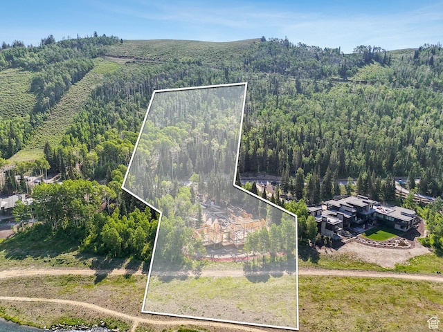263 White Pine Canyon Rd, Park City, UT 84098 - photo 8