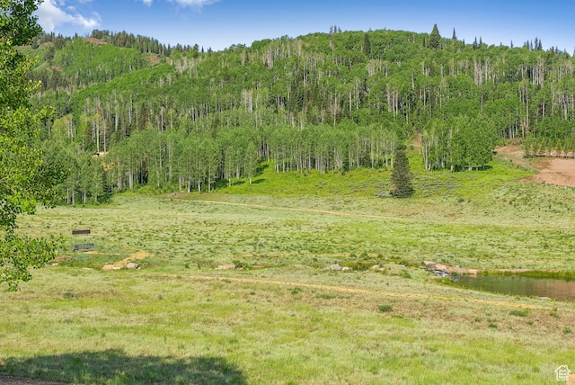 263 White Pine Canyon Rd, Park City, UT 84098 - photo 28