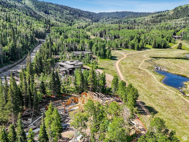 263 White Pine Canyon Rd, Park City, UT 84098 - photo 11