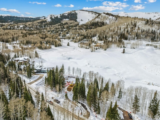 263 White Pine Canyon Rd, Park City, UT 84098 - photo 41