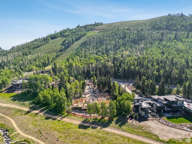 263 White Pine Canyon Rd, Park City, UT 84098 - photo 7
