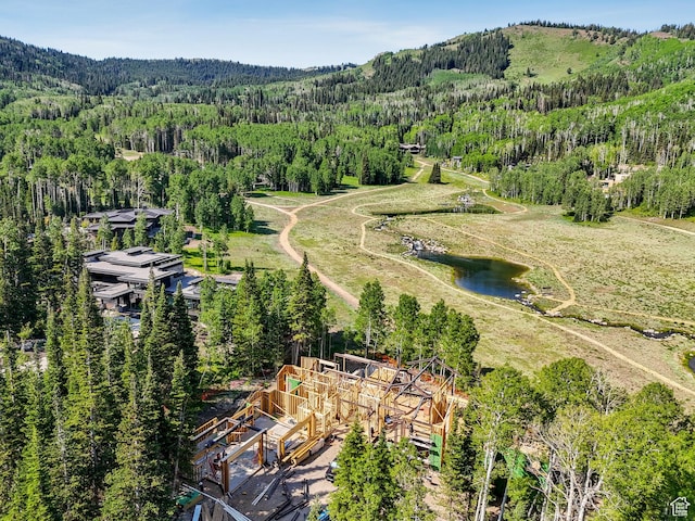 263 White Pine Canyon Rd, Park City, UT 84098 - photo 1