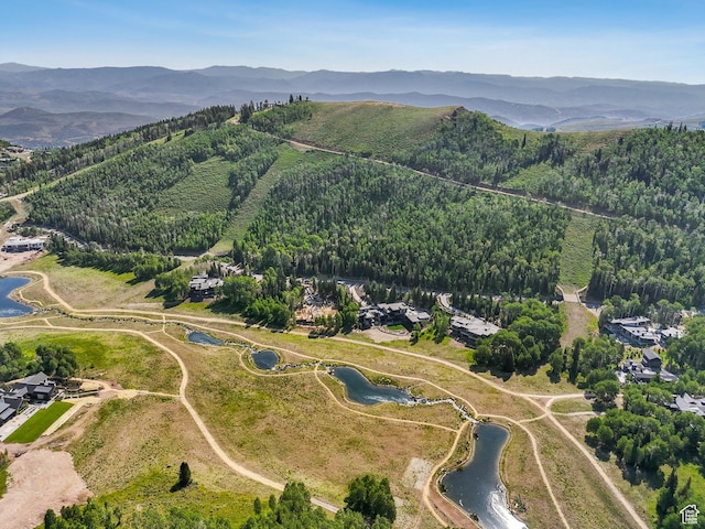 263 White Pine Canyon Rd, Park City, UT 84098 - photo 17