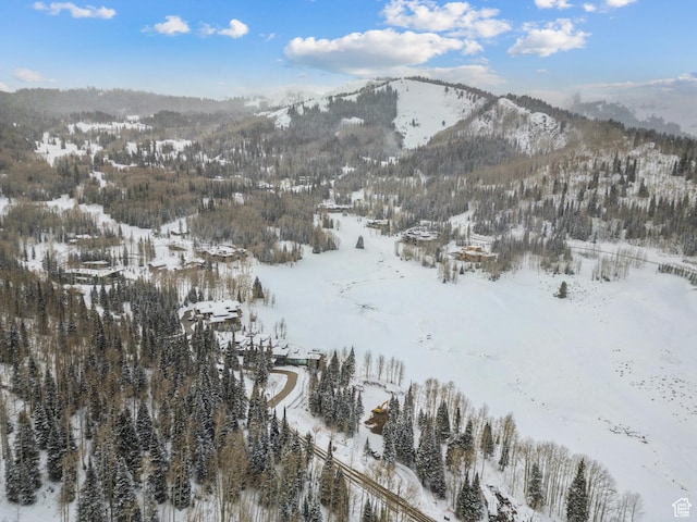 263 White Pine Canyon Rd, Park City, UT 84098 - photo 47