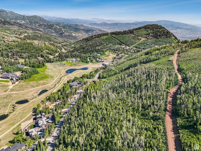 263 White Pine Canyon Rd, Park City, UT 84098 - photo 15