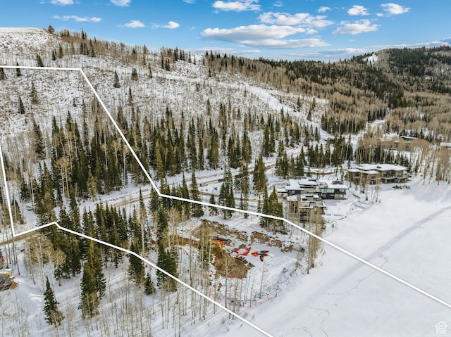 263 White Pine Canyon Rd, Park City, UT 84098 - photo 40