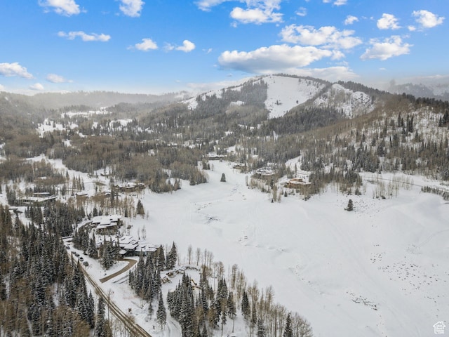 263 White Pine Canyon Rd, Park City, UT 84098 - photo 46