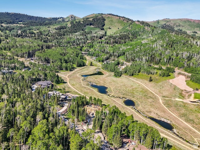 263 White Pine Canyon Rd, Park City, UT 84098 - photo 12