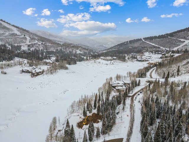 263 White Pine Canyon Rd, Park City, UT 84098 - photo 49