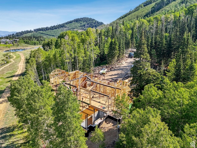 263 White Pine Canyon Rd, Park City, UT 84098 - photo 3