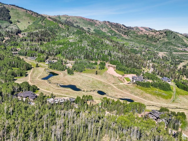 263 White Pine Canyon Rd, Park City, UT 84098 - photo 14
