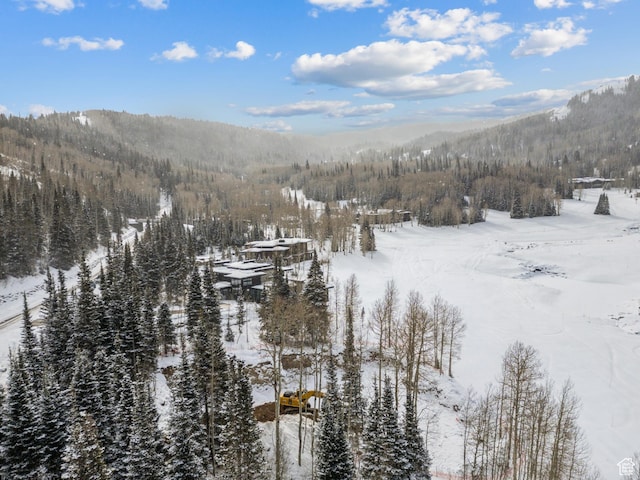 263 White Pine Canyon Rd, Park City, UT 84098 - photo 48
